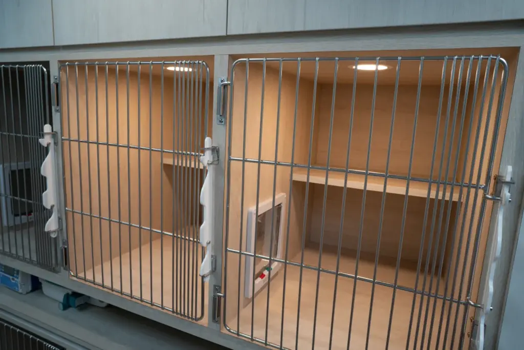 力晨動物醫院 溫馨舒適的犬貓住院與照護病房