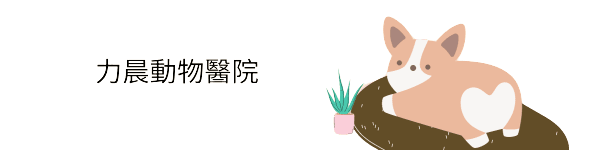 睿恩網頁設計 Designed by RayEn