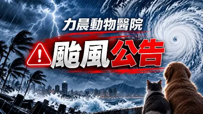 最新門診公告