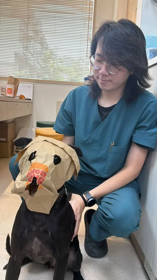 毛孩生活與院內日常